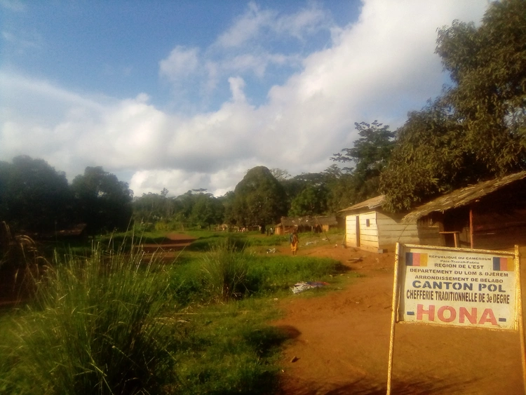 Village hona